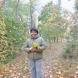 ���� ������, �������, 51 ��� - ��������� 24 ������� 2026