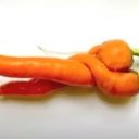 ���� ����, ��������� - ��������� 27 ������� 2023 � ������ ������ ��������