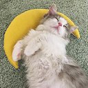 ���� �����, ���� - ��������� 18 ��� 2026 � ������ ������ ��������
