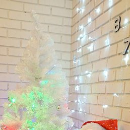 ����, ������, 38 ���