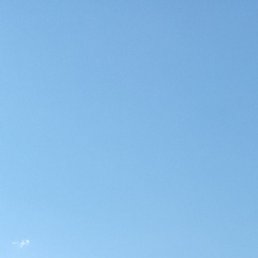 �����, ������, 47 ���