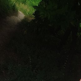 ����, ������-��-����, 33 ����