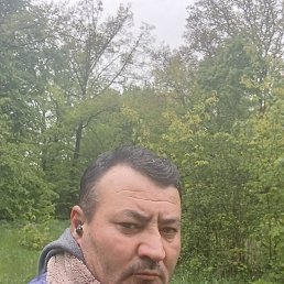 , 33, 