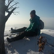 , 37 , 