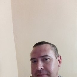 , 41, 
