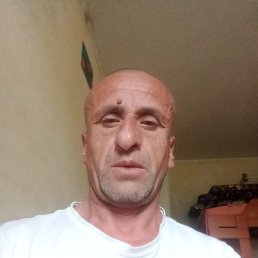 , 44, 