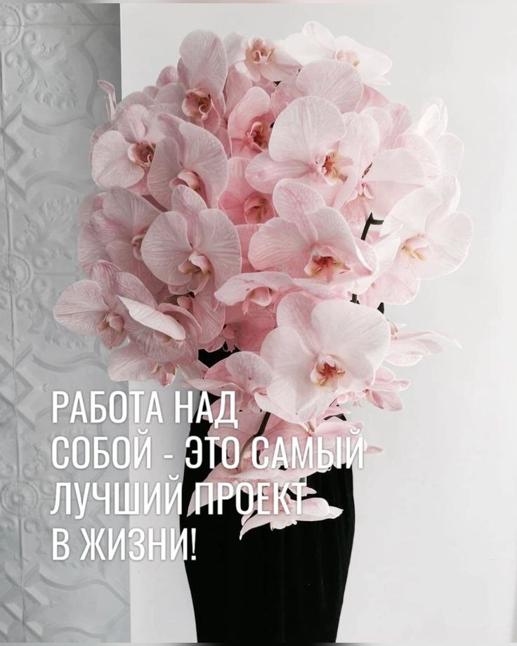   ! - 17  2025  18:54