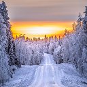  ����� ���. �������� ����� � ���� ������ �� ������� ���� ����������