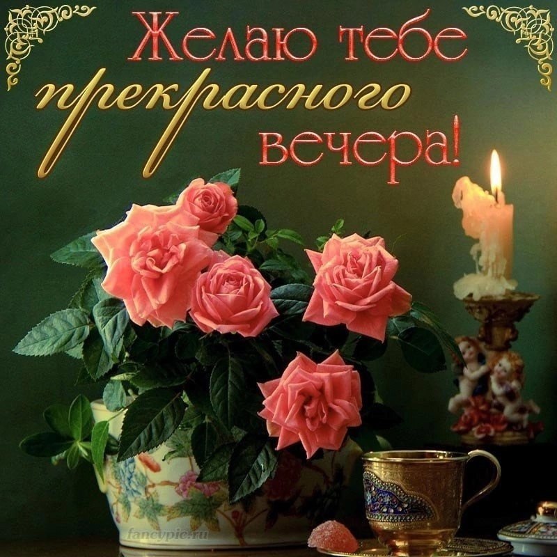   - 13  2025  21:02