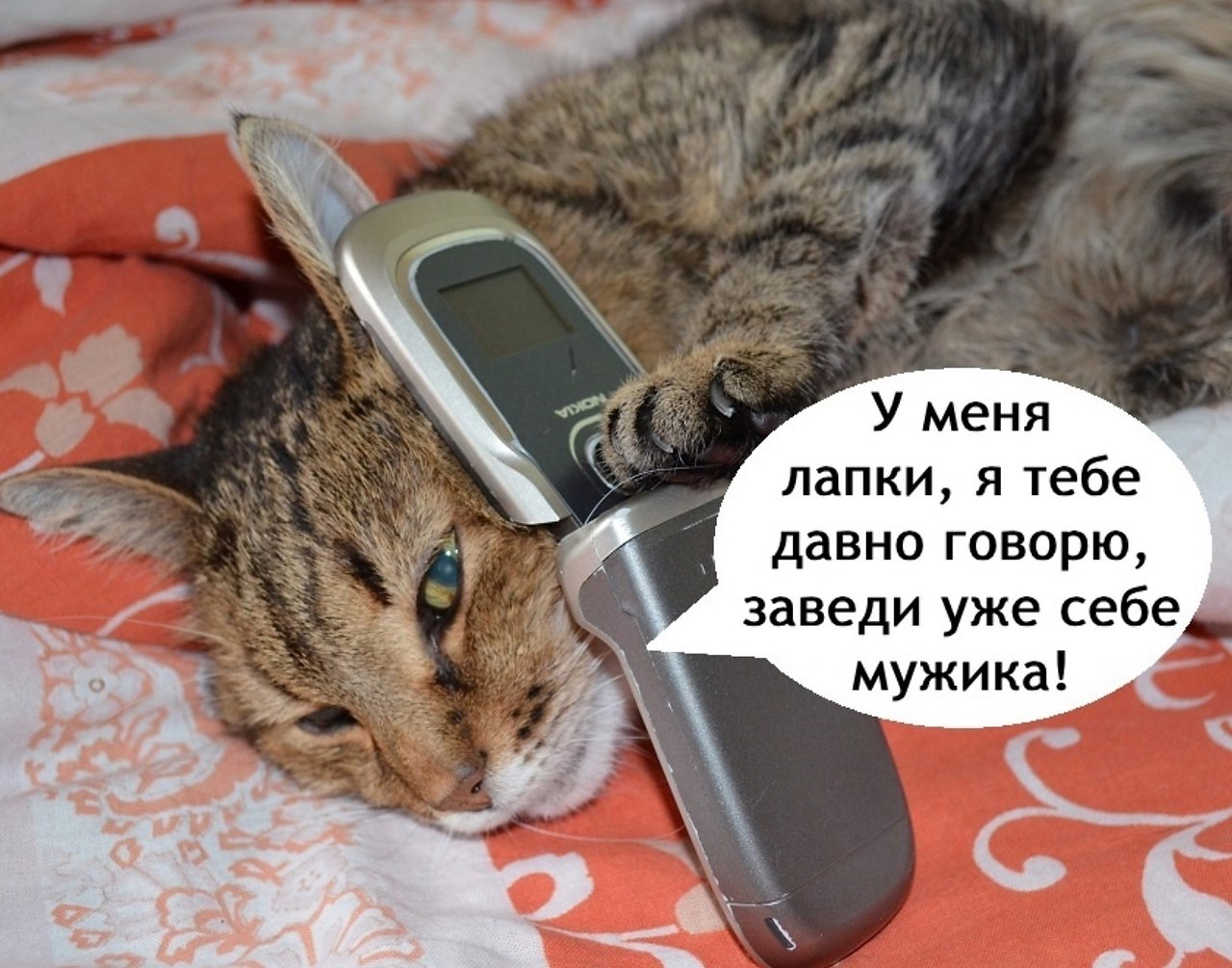    - 3