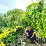 �����, , ���������