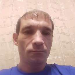 , , 41 