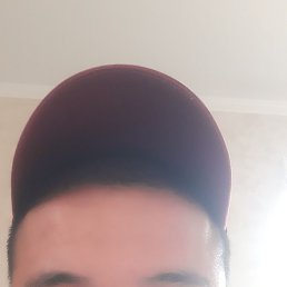 ������, ���������, 38 ���