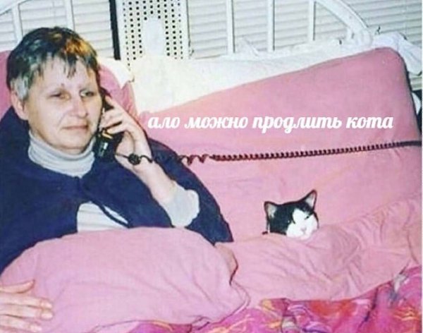    - 9  2024  22:41