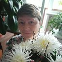 ���� ����, ������, 57 ��� - ��������� 12 ������� 2025