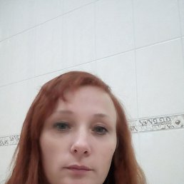  , 41 , 