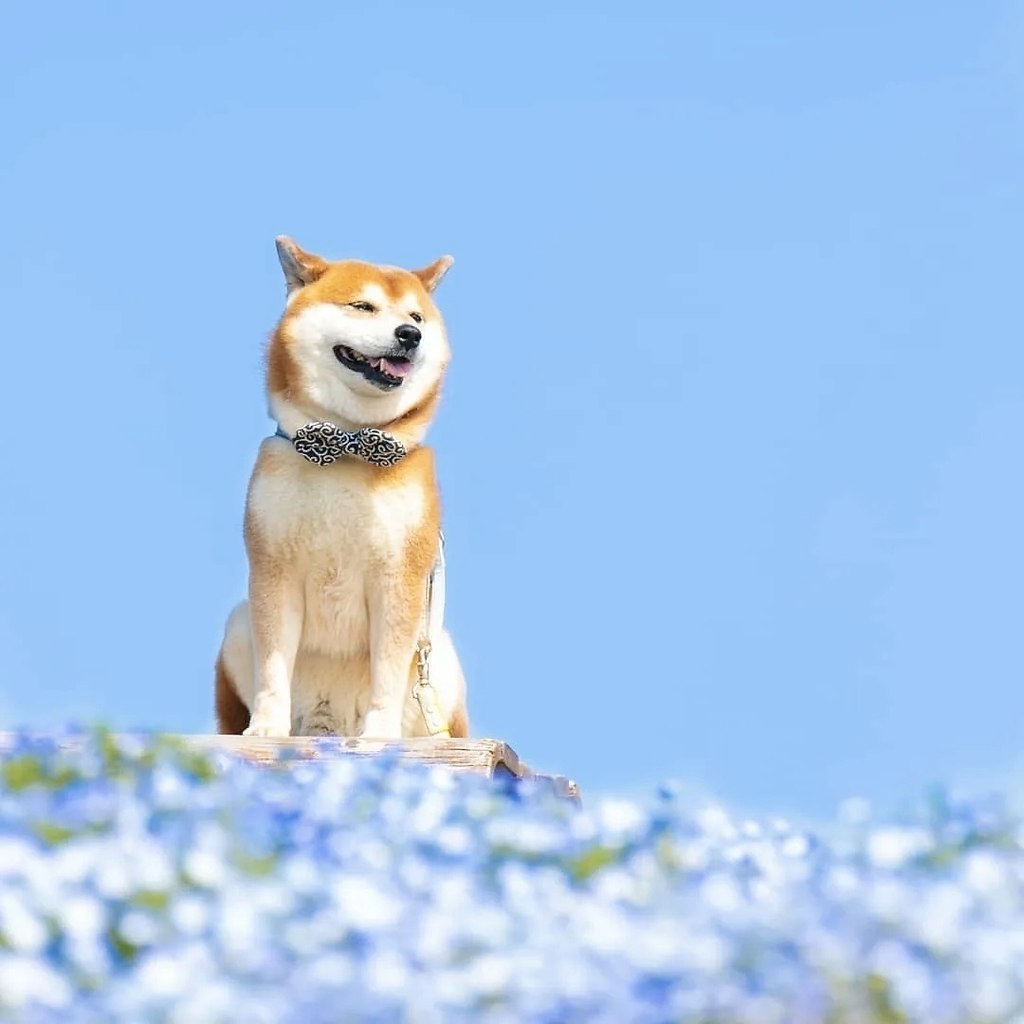      , . - 7