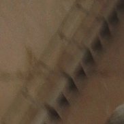 , 48 , 