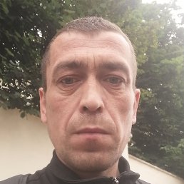 ������, �����, 39 ���