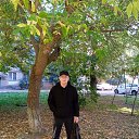 ���� ���, ���������, 56 ��� - ��������� 13 ������ 2025 � ������ ���� ����������