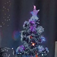 �����, 59 ���, �����