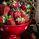 ���� ����, ������-��� - ��������� 29 ���� 2026 � ������ ������ ��������