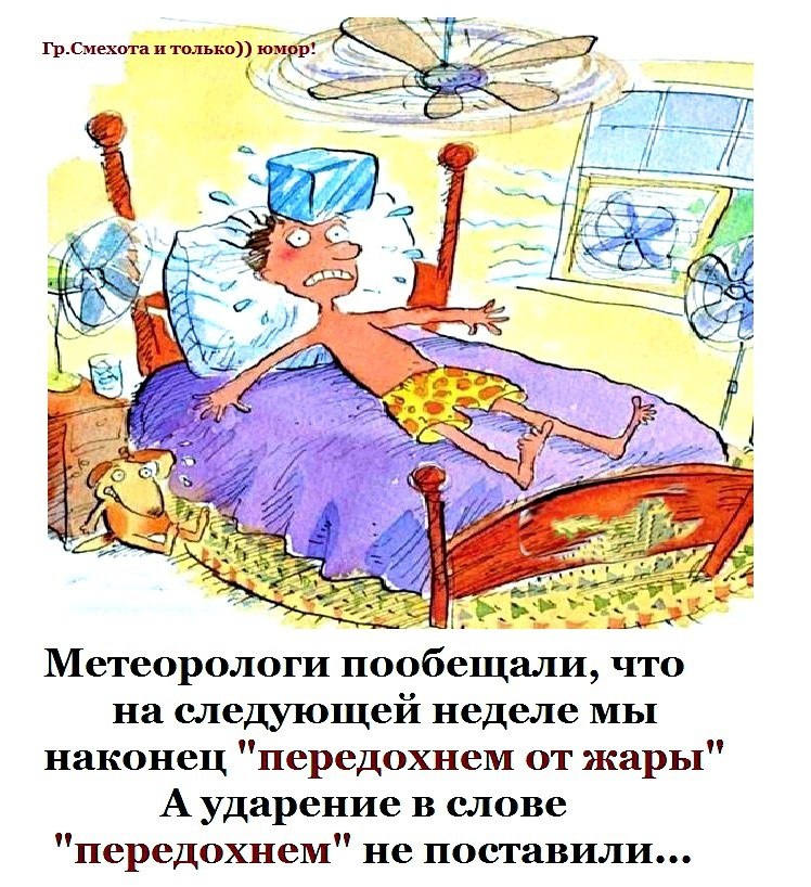  - 18  2024  20:06