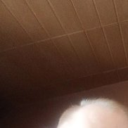 , 50 , 