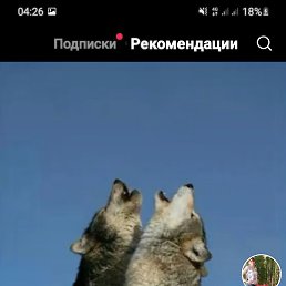 ����, ������, 47 ���