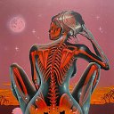 ���� ����, ��������� - ��������� 21 ������� 2024 � ������ ������ ��������