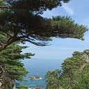  Elena, , 51  -  21  2024    