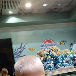 ���� ����, ���������, 54 ���� - ��������� 28 ������ 2024