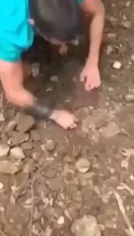 �ap��� �a���o. pac�o�apc�o� �pae ���e�� �c���a�� �a�o���e �p��� ���o��o�o. a��� �c�o���� ����a, o�� ... - 2