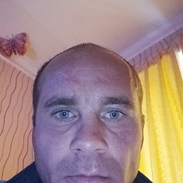 ���������, ������, 40 ���