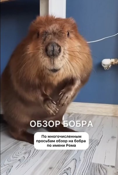 :   