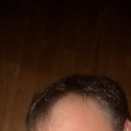 ���������, �����-���������, 41 ���