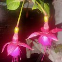 ���� ���������, ������, 54 ���� - ��������� 13 ������� 2025 � ������ ������ ��������