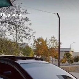 �����, �������, 37 ���