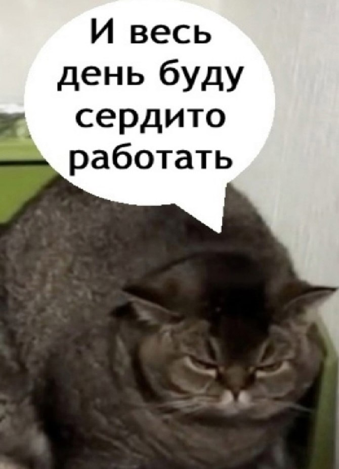 JPG - 29  2025  09:57 - 3