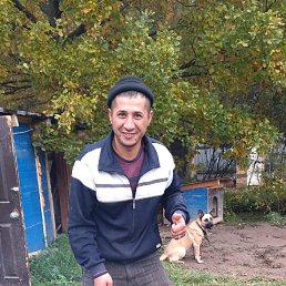 , 37, 