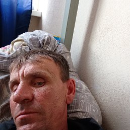 , 41 , 