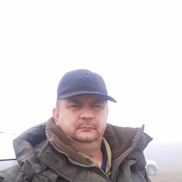 , 50 , 