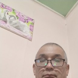 , 61, 