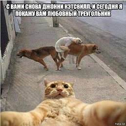 , , 41 