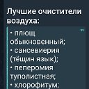 ���� �����, ���������� - ��������� 16 ������ 2026 � ������ ������ ��������