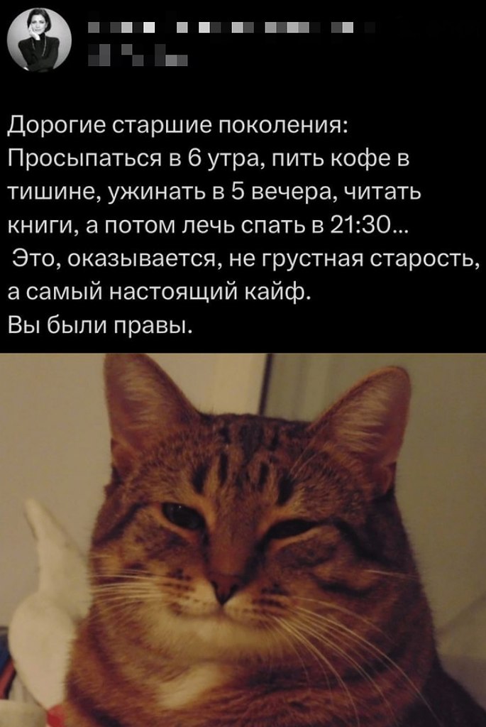  - 6  2025  22:46