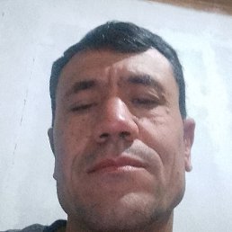 ��������, �������, 49 ���