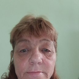 , 61, 