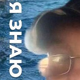 ��������, ���������, 59 ���