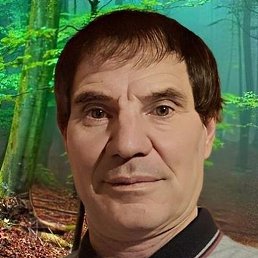 ������, �����-���������, 51 ���